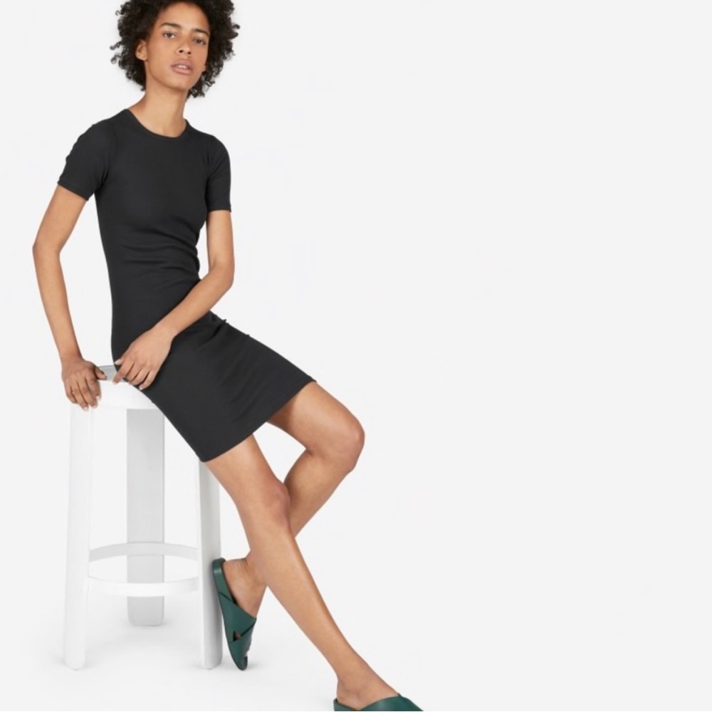 Everlane Pima Cotton Ribbed Mini Dress in Black Size S